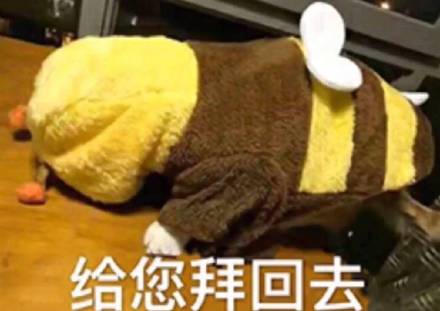 拜年回礼表情包来啦！“给您拜年了”配“给您拜回去”超应景