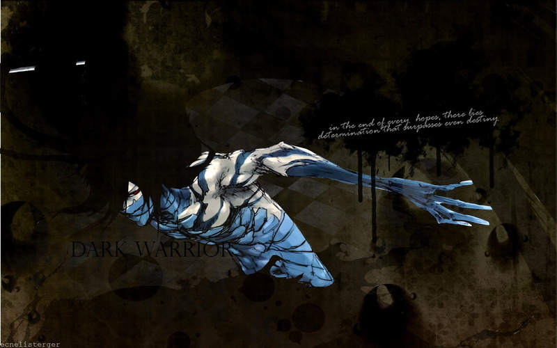 黑崎一护无月战士壁纸合集