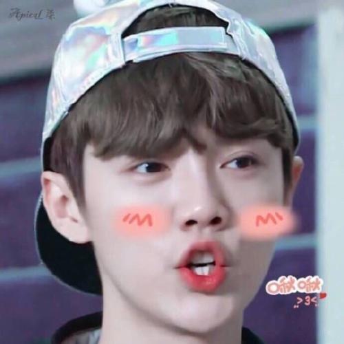 鹿晗专属聊天表情包来啦