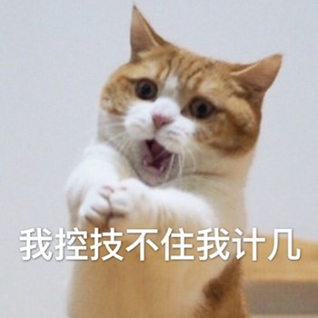 聊天斗图首选！网友最爱的喵星人表情包合集