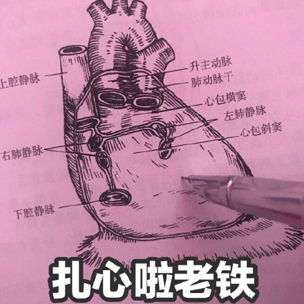 医学生专属表情包合集来啦！