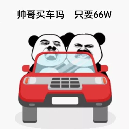 聊天斗图新宠：「买车吗」表情包合集