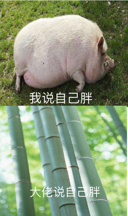 青铜和王者的真实差距，这套表情包帮你看明白