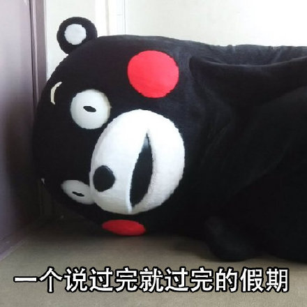 五一宅家的我，简直是熊本熊本熊！