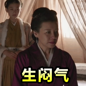 《知否》王大娘子王若弗专属动图表情包合集