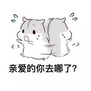 情侣聊天必备！软萌小兔几表情包合集