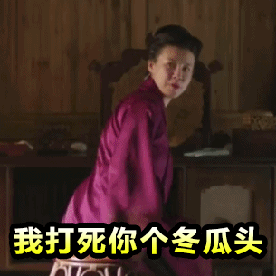 《知否》王大娘子王若弗专属动图表情包合集