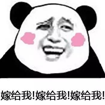 超实用熊猫头求婚表情包合集
