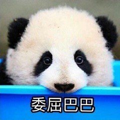 大熊猫滚滚表情包合集来啦
