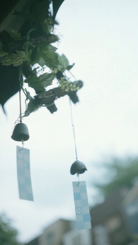 给大家整理了一组超治愈的日系壁纸