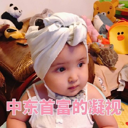 超火的精致猪猪女孩小刚几表情包合集