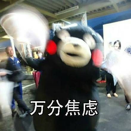 刷到同学都谈恋爱结婚了？这套熊本熊表情包太懂这种心情了