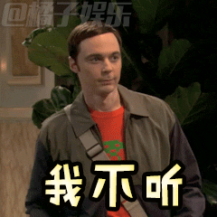 《生活大爆炸》谢耳朵GIF动图表情包合集