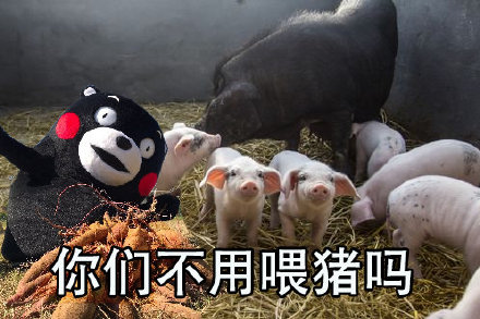 打工人专属吐槽表情包合集！你是不是也想问“你们不用干活吗？”