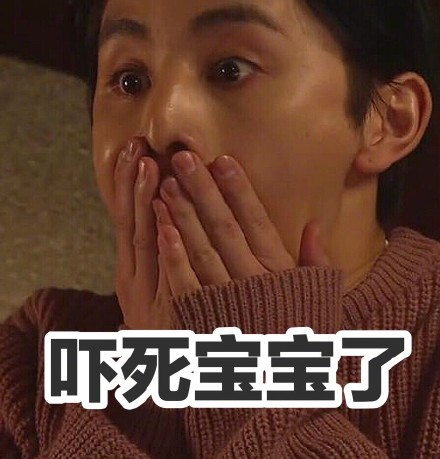 《掩饰之冬》山田凉介表情包合集