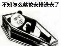超接地气！熊猫头喊着要出棺材板的表情包合集