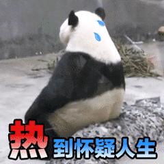 大熊猫滚滚表情包合集来啦