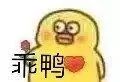 聊天斗图必备！这套沙雕小黄鸭表情包太有意思了