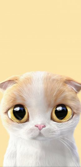 快来挑！这组软乎乎的卡通壁纸太治愈了