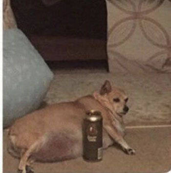 刚入职场vs工作几年后 这两组对比表情包太真实了