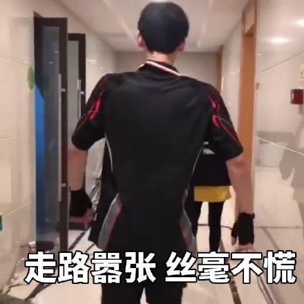 白敬亭专属表情包合集来了，粉丝速存