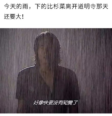 今天这雨下得也太大了！