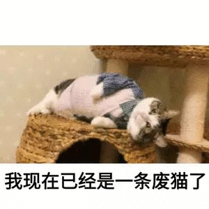 打工人摸鱼必备！