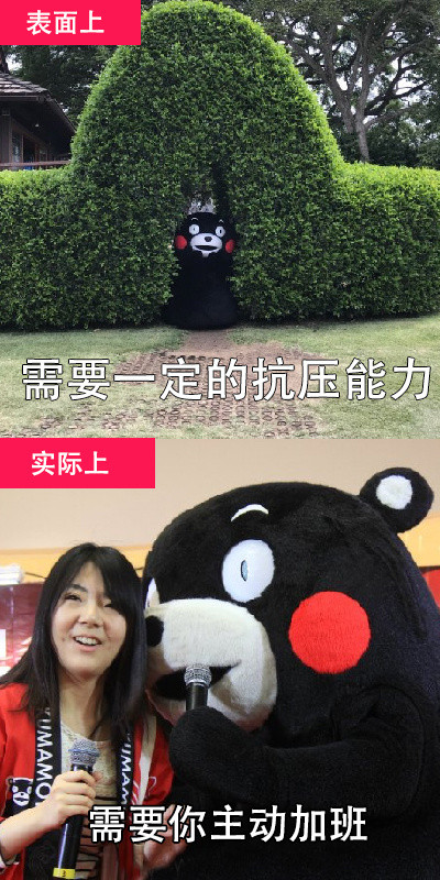 找工作必看！招聘信息里的这些套路，看完直接笑出声