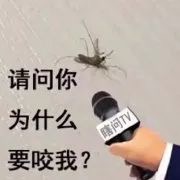 聊天斗图必备！这套蚊子表情包太懂打工人的痛了