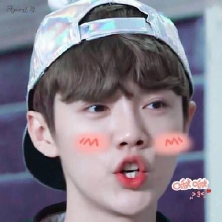 鹿晗专属聊天表情包来啦