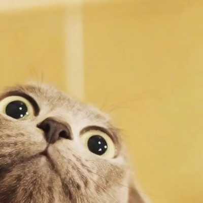 16组超萌双人QQ闺蜜头像 高清可爱款一次看够