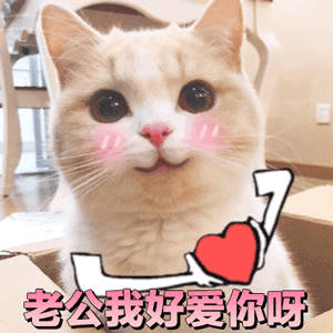 哄老公神器！这套萌系表情包直接拿捏另一半