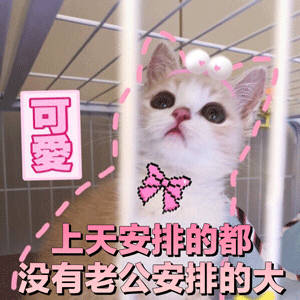哄老公神器！这套萌系表情包直接拿捏另一半