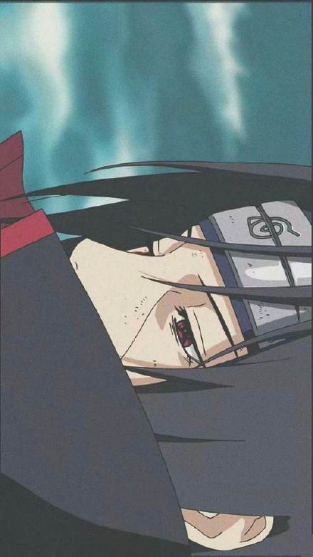 今天的手机壁纸来啦，快挑一张换上