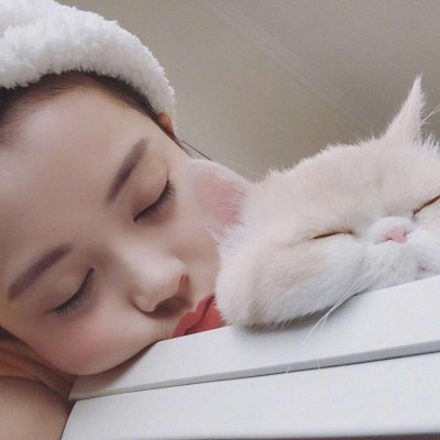 29张高清可爱抱猫女生头像 快来挑合适的用