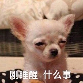 起床脸表情包合集