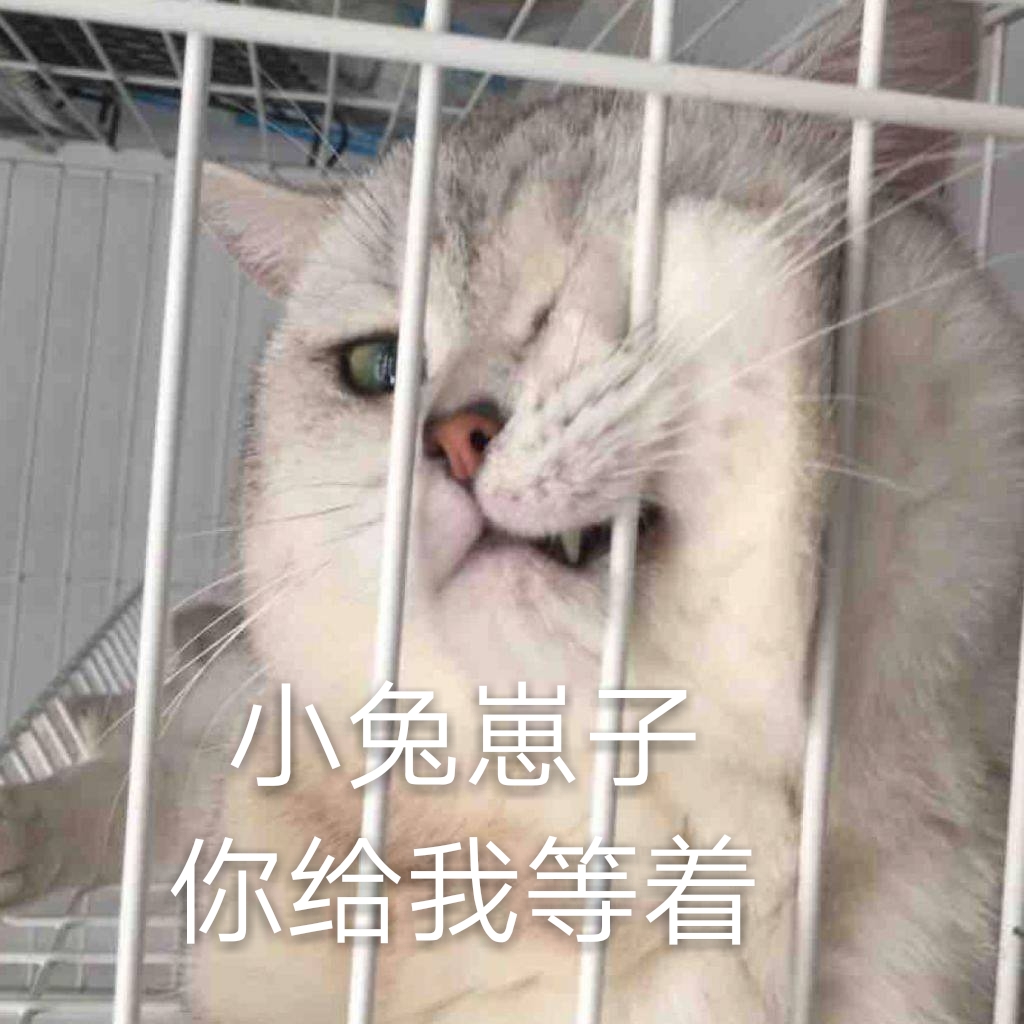 整理好的喵星人聊天表情包合集