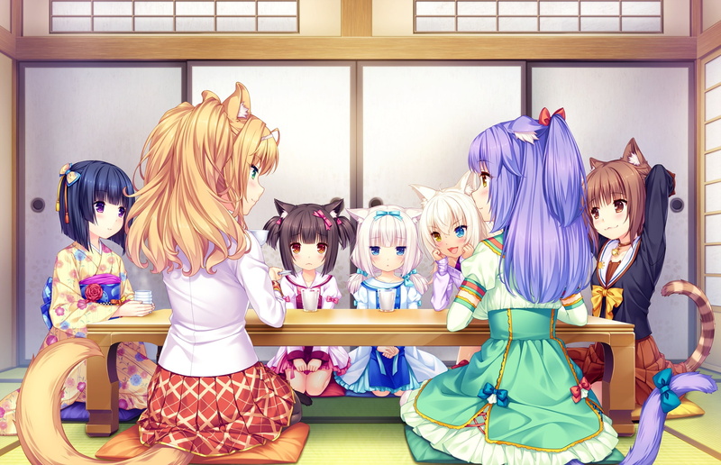 猫娘乐园全员壁纸合集