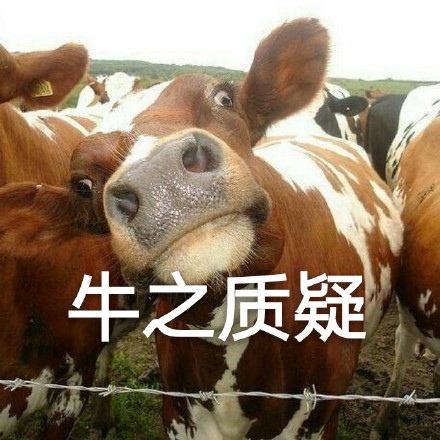 这套牛梗表情包太好用了