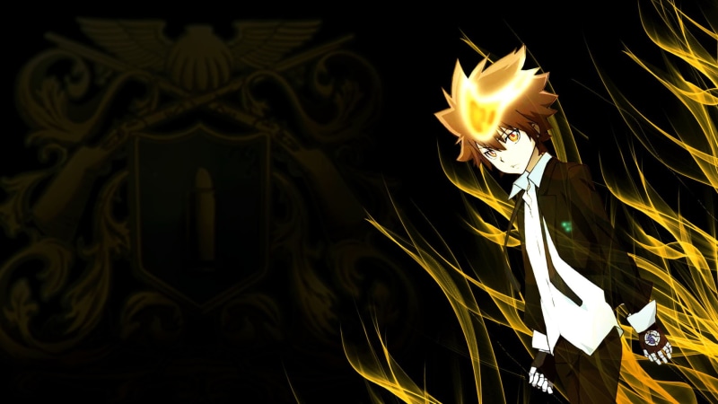 家庭教师HITMAN REBORN! 超清壁纸合集