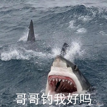 这套鲨鱼沙雕表情包，斗图时直接封神
