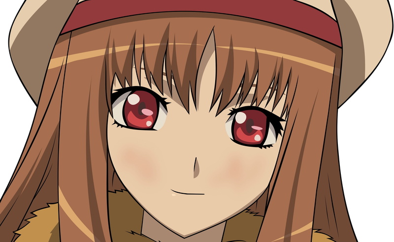 绝美艺术风动漫狼主题壁纸合集