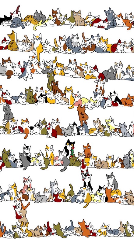 铲屎官看过来！这套吸猫壁纸太治愈了