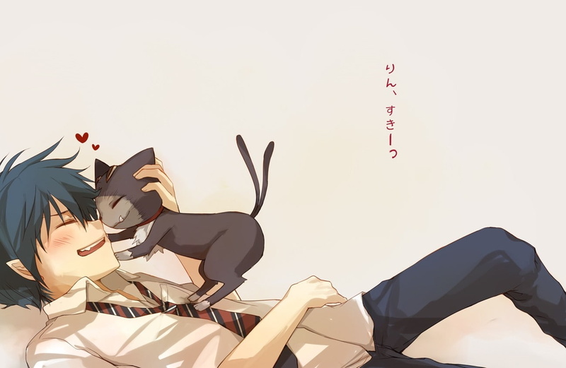 青之驱魔师高清壁纸合集！猫咪校服狗狗尾等元素拉满