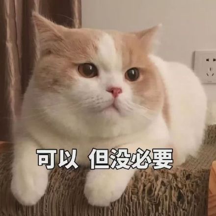 猫咪表情包合集来啦！这里整理了多款软萌又自带梗的猫咪表情，涵盖撒娇、认错、摆烂等多种日常聊天常用的情绪表达，用户可以在发表情网站直接下载使用。
