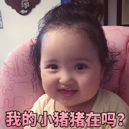 超火的精致猪猪女孩小刚几表情包合集