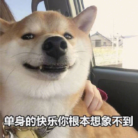 单身狗配Doge的表情包合集来了