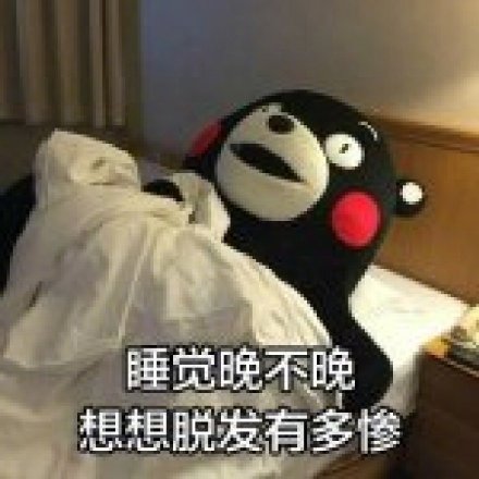 熊本熊版“人间真实”表情包来了：用火锅、脱发当“打气口号”