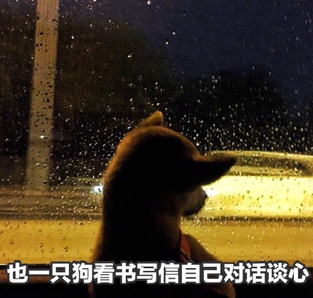 情人节临近，这套单身狗表情包快存好