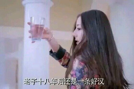 胖迪迪丽热巴专属表情包合集来了